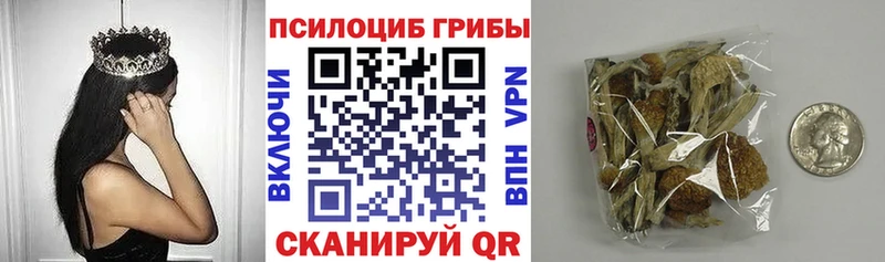 Купить где  Тверь  Галлюциногенные грибы мицелий 