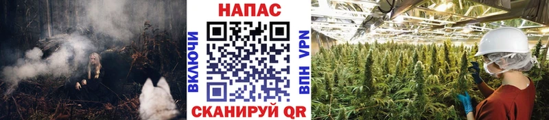 Конопля VHQ  Купить закладки  Тверь 